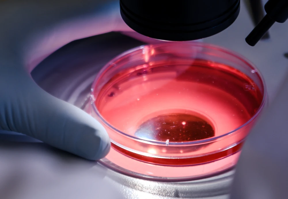 1000x digital microscope