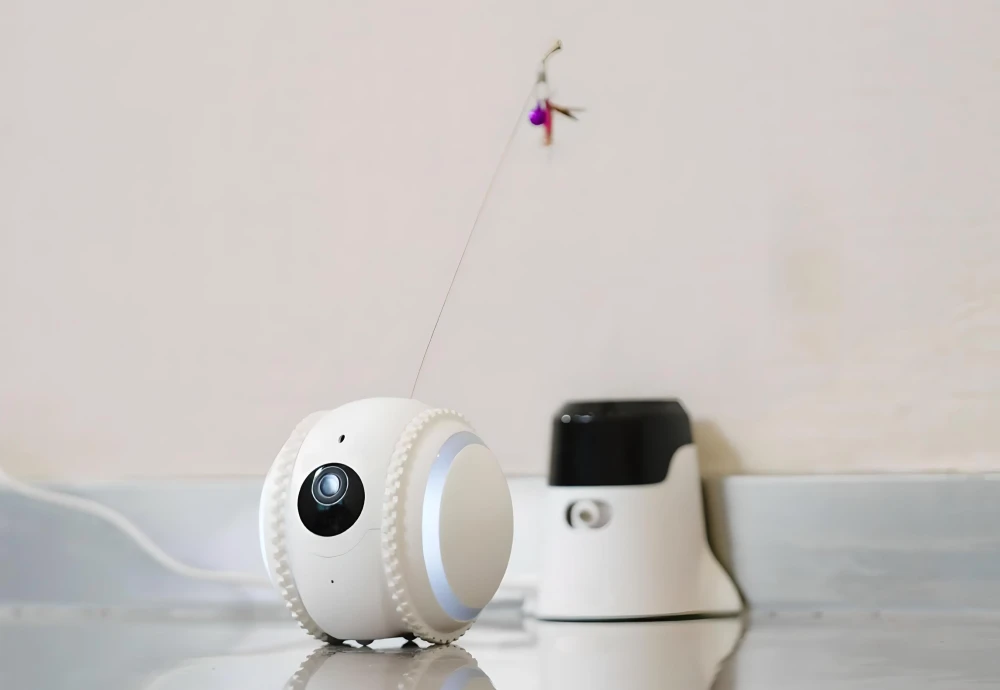 pet camera robot