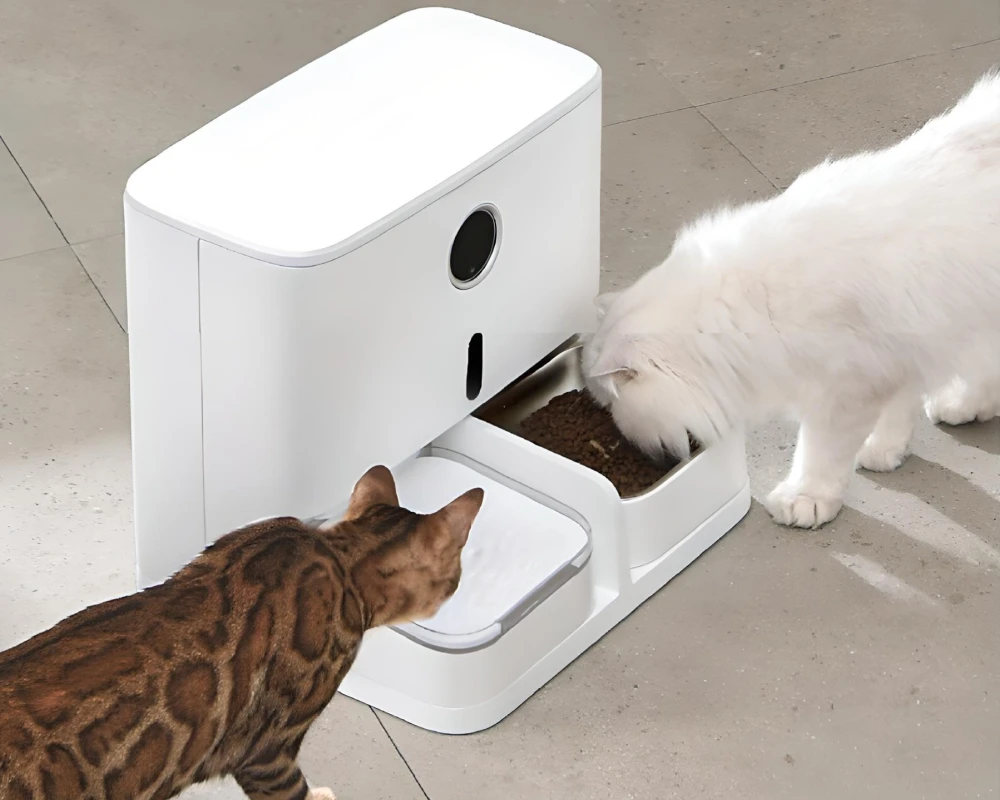 automatic feeder with camera